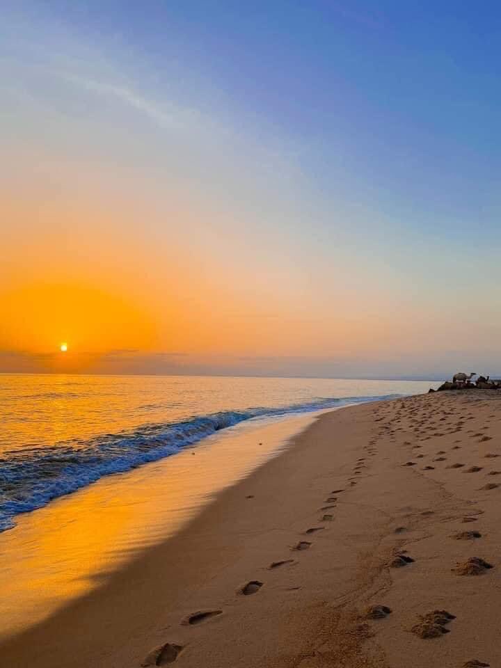 DrMbrek's tweet photo. Discover the hidden gem of Somaliland - Ceelsheekh beach! With crystal clear waters and pristine white sand, it's the perfect spot for a relaxing getaway. 

#Somaliland #Ceelsheekhbeach #tourism https://t.co/UCtnsOoPOV
