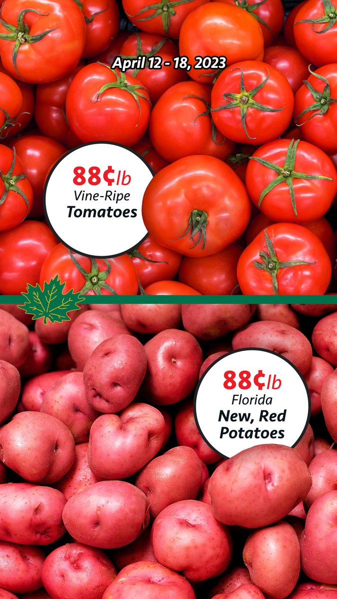 Shady Maple tweet media