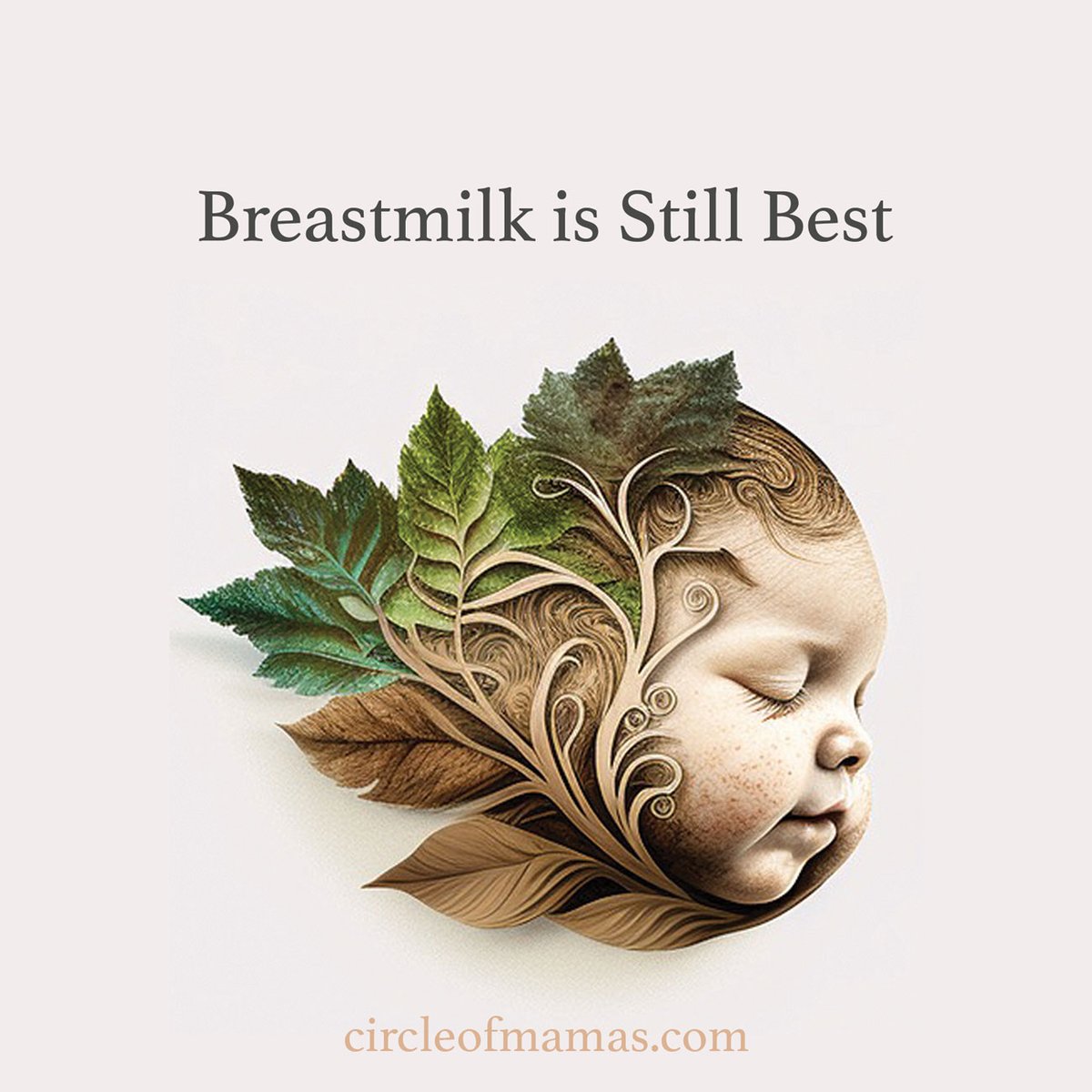 Not trying to shame, but breastmilk is literally the most nutritious food a baby could consume. We need to bring it back into our cultural heritage, it's an ancient and wise tradition. circleofmamas.com/health-news/th…