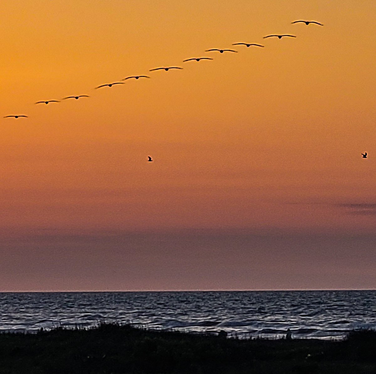 Galveston Island State Park