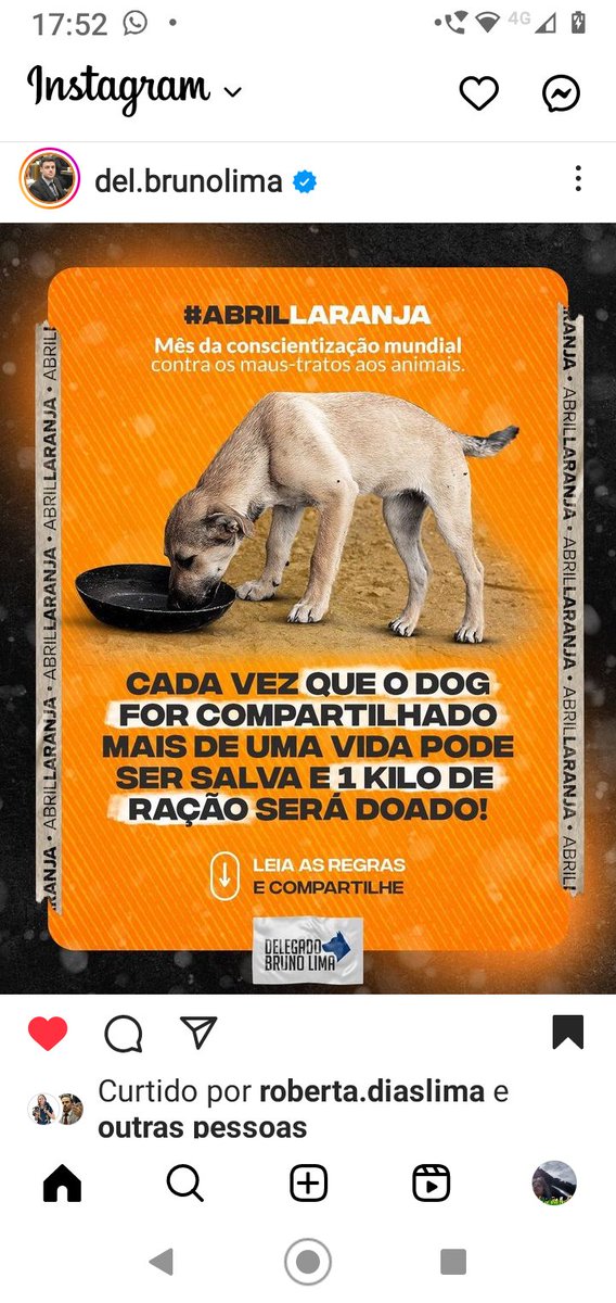 IsleBorges's tweet photo. 👍🐾💚🐾👍🐾💚🐾👍🐾💚 https://t.co/5oYS4yIbsS