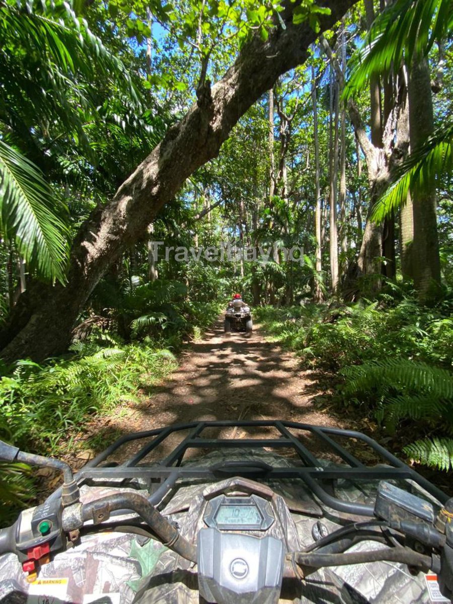 TravelBayHQ's tweet photo. Quad biking in 🇲🇺 Mauritius ✨

Add it to your bucket list📝 https://t.co/8GgTVOs89N