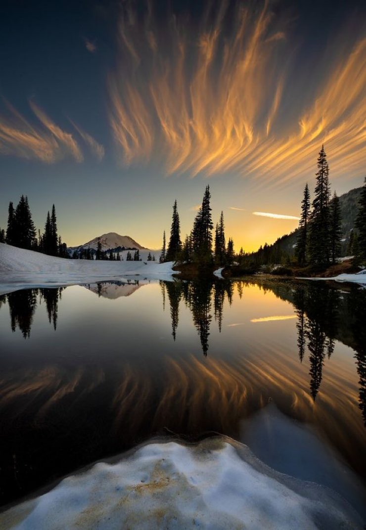 David Knowlton (@davidkn86067906) on Twitter photo 