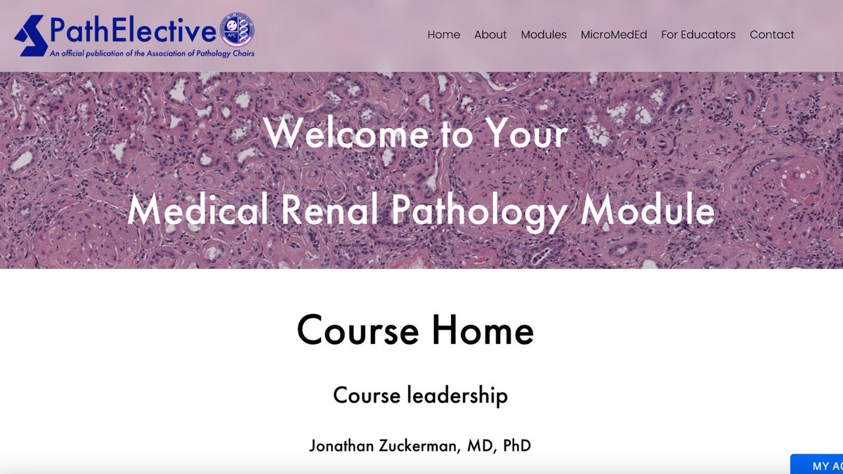 We are excited to announce a new course available to #PathElective users featuring our new quizzing and certificate generation platform.

Check out #RenalPath taught by @JZRenalPath: first two lessons available now!

pathelective.com/medical-renal-…