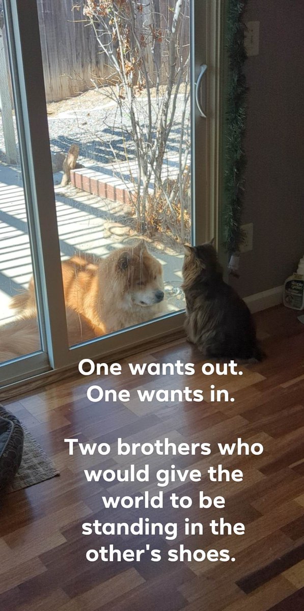 A S H E ✊🏻✊🏽✊🏾✊🏿 tweet media