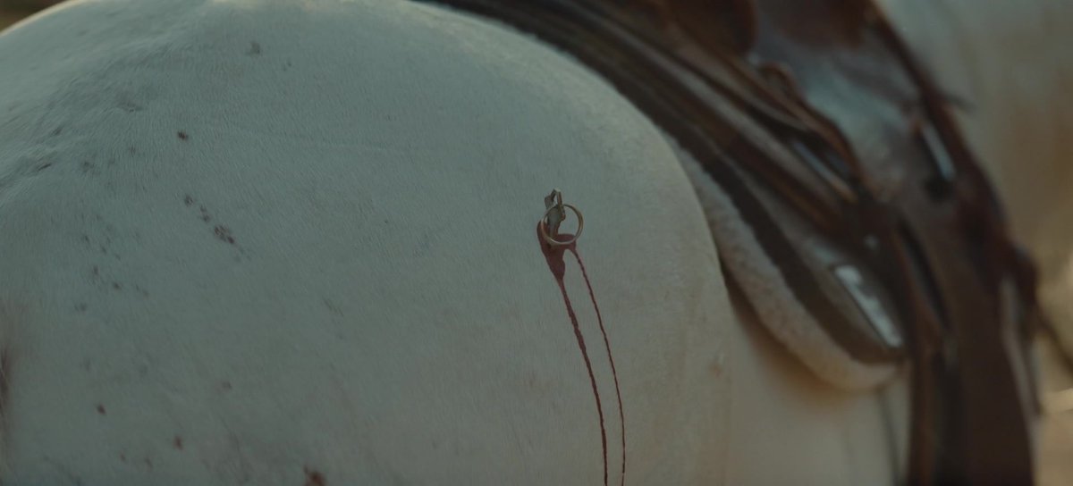 TheCinesthetic tweet picture