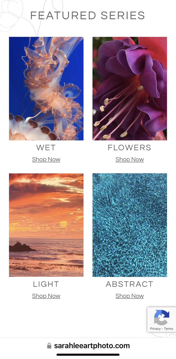 slgparrish's tweet image. Hope you enjoy my work! @susancain @CarmelChamber  @TexasMonthly @OKCMOA 
@DallasMuseumArt #SarahLeeartphoto