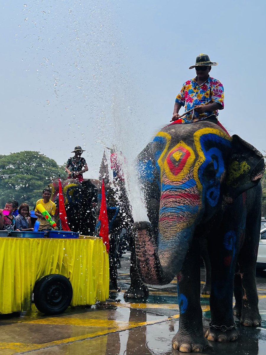 Nonsky89's tweet photo. Songkran, 🐘🐘🦣Thailand https://t.co/Abg8yBJetn