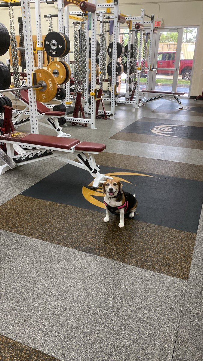hunteranned's tweet photo. The secrets out…..I do have a favorite athlete in the weight room https://t.co/jgU7RhO3RD
