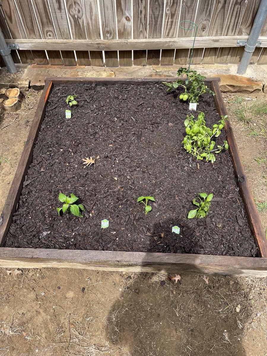 mrSPLITgames's tweet photo. No #stream this morning because I was working on my #garden 😁
I’ll be on tonight at about 9pm cst. See ya there… https://t.co/3H5LH2ctKZ - https://t.co/8hhctzDC0S #spring #mrSPLIT #2023 https://t.co/mvF0xLOvSS