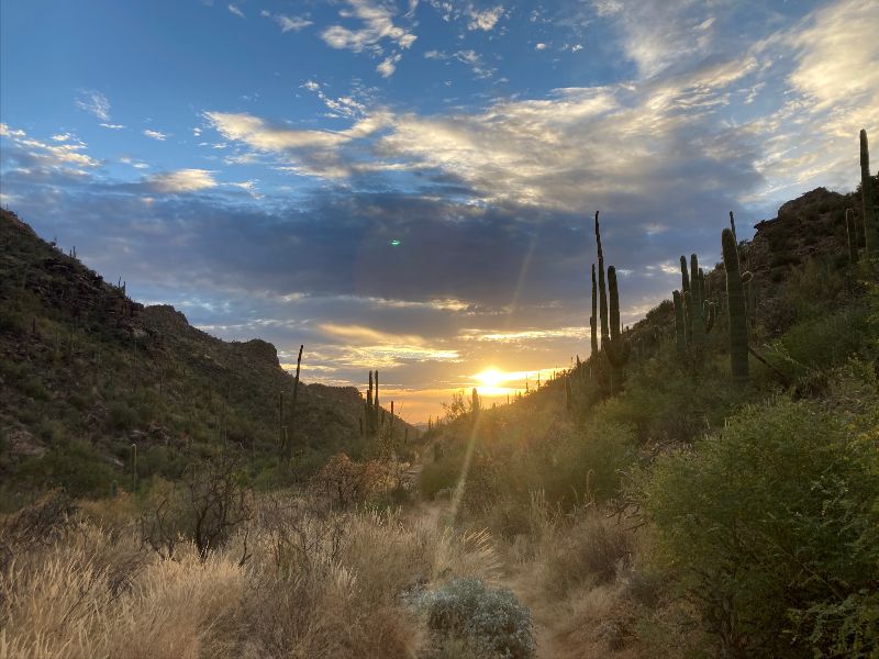 dharma_center's tweet photo. Dose of Light -- Volunteer Meeting Saturday 4/22 &amp; NEW Weekly Class Offerings - https://t.co/sB89glMUnR https://t.co/zOasiAPRdW