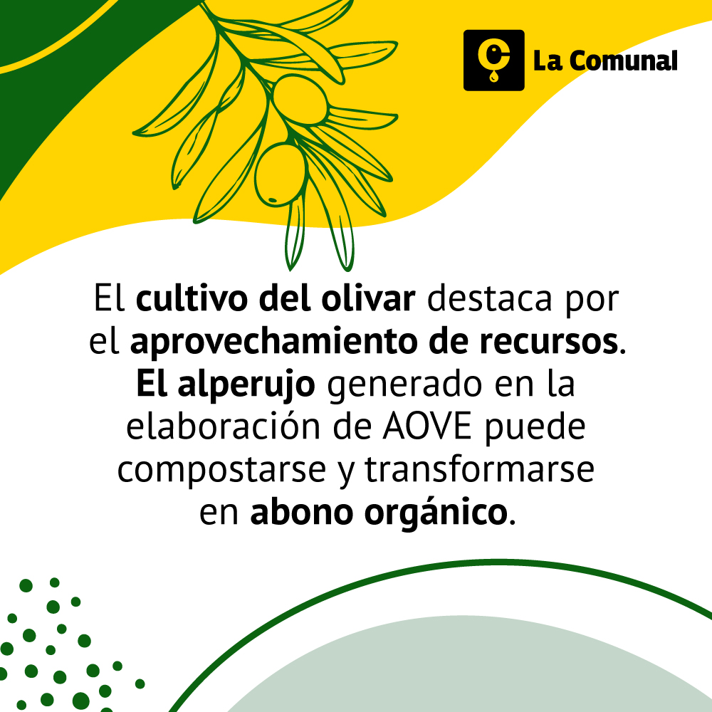 El sector olivarero 🫒 es un ejemplo de #sostenibilidad y compromiso con una #EconomíaCircular 🔄

Tras la extracción del #AceitedeOliva, subproductos como las hojas de olivo o los huesos de aceituna, se emplean para elaborar abonos y biomasa.  

#AceitedeOlivaesSostenible 💚