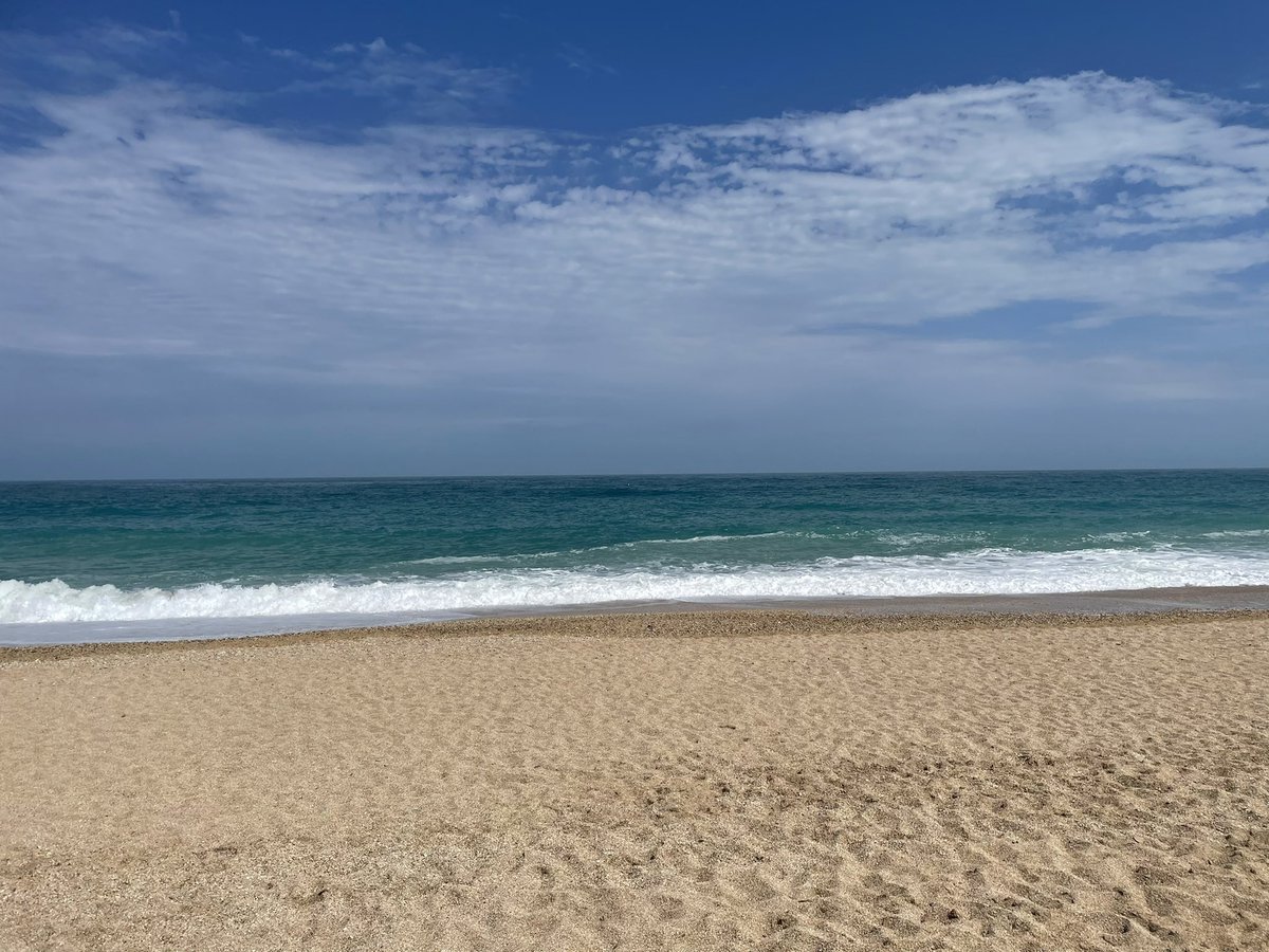 CourtesyDay's tweet image. 3 elements, one pic! 😉