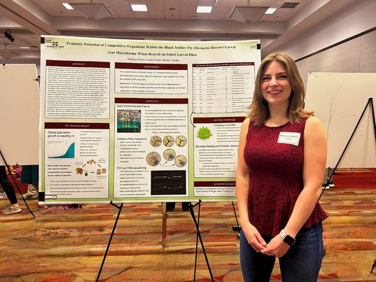 JordanSmink's tweet photo. Congratulations to Madalyn Reeks from the @ShakoulsHonors College who presented at the Undergraduate Research Symposium!  We are so proud of the work she is doing through @MSSTATE_Biology. Her research on how diet affects the microbiome of insects is supported by @CEIF_InsectAg https://t.co/0fLYTD8J5x