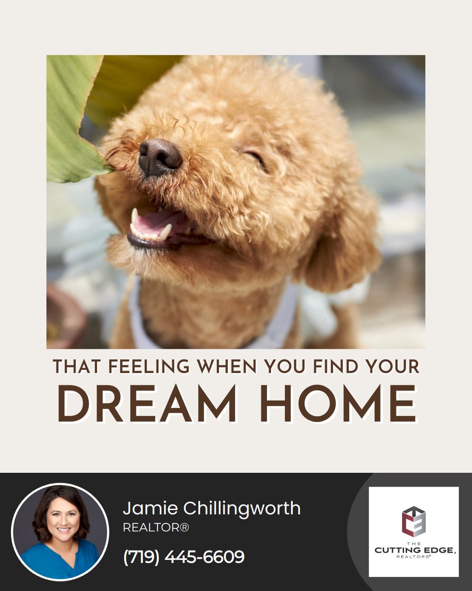 And it's a GREAT feeling for the agent too!

#thatfeelingwhen #meme #memes #realestatememes #realestatememe #dogs #dogstagram #realestate #realestateagent #COHawaiianRealtor #COIslandGirlRE #IslandGirlRE #CORealEstate #TCER