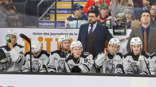 Les <a href="/OlympiquesGAT/">Olympiques de Gatineau</a> entament la 2e ronde des séries éliminatoires dans la <a href="/LHJMQ/">LHJMQ</a> ce soir. 🏒🥅

« Les papillons sont là. Les joueurs sont excités et moi aussi », a dit l'entraîneur-chef et le directeur général Louis Robitaille au micro de <a href="/MelCulture/">Mélanye Boissonnault</a> 🎙️

⏯️ ici.radio-canada.ca/ohdio/premiere…