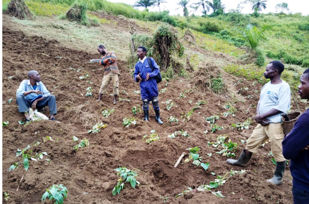 WOA_RDC's tweet photo. Women Of Africa  fournit une expertise technique aux bénéficiaires des Champs Ecoles Paysans (CEP) au Sud Kivu, à Mwenga, en particulier aux villages  Sungwe, Tuseswa et Iganda.

Dans le cadre de l'appui technique aux bénéficiaires des CEP,  Women Of Africa a assisté 1/4 https://t.co/iqQ4p4CO3T
