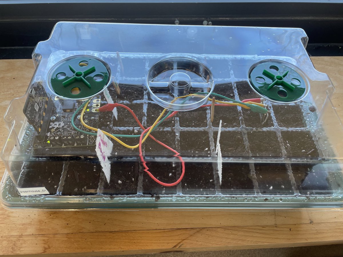 ICS4U students working through an automated greenhouse project. Part 1 is complete. Data collection and data viz is being fined tuned. <a href="/TechEdASPT/">TechEd@Assumption</a> <a href="/ClarkMcdougall/">Principal Assumption CSS</a> #teched #futureproof