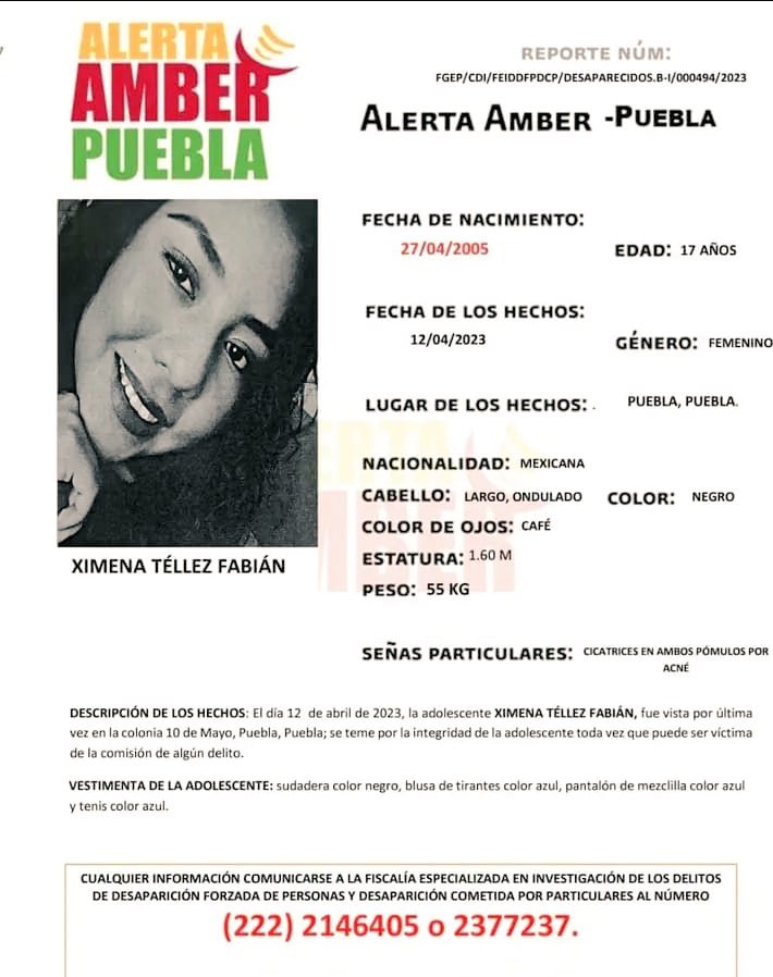 nmaspuebla's tweet photo. #AlertaAmber

Ayuda para localizar a Ximena Téllez Fabián fue vista por última vez en la colonia 10 de Mayo de #Puebla capital. https://t.co/vLlsS1N6Vh