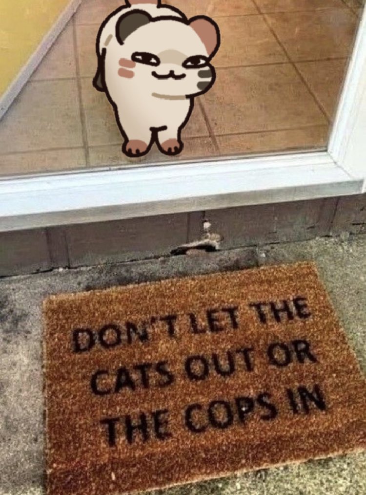 cuptoast's tweet image. 