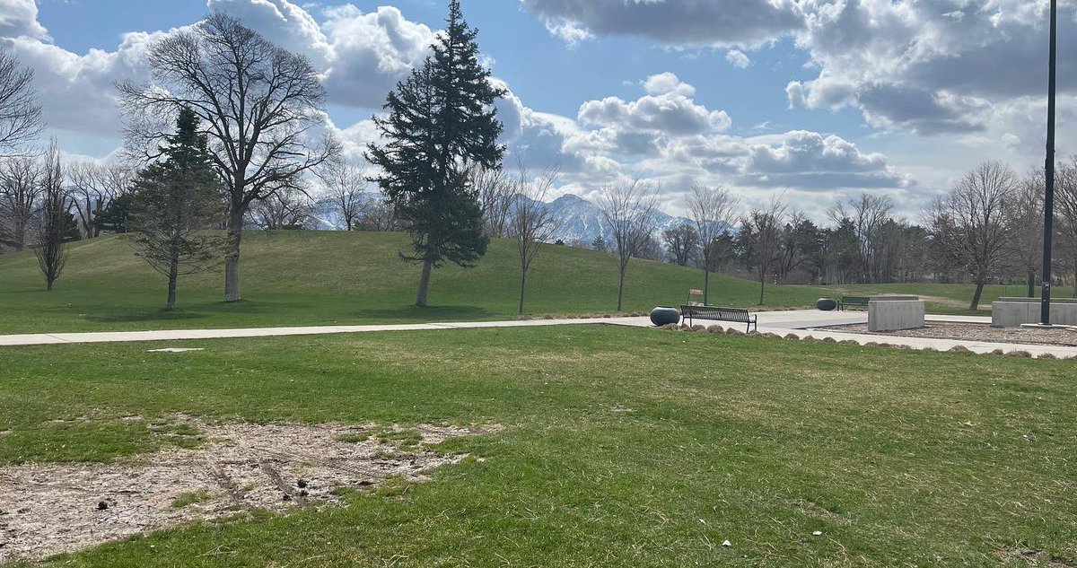 Matthew Tuckner tweet media