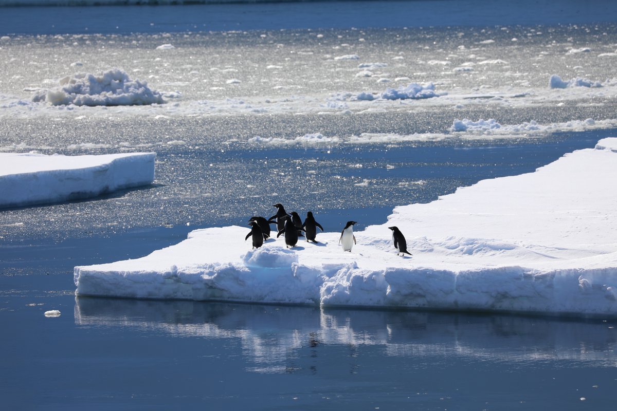 A really interesting PhD project in collaboration between <a href="/UTAS_/">University of Tasmania</a>  <a href="/CSIRO/">CSIRO</a> and @NorskPolar, studying the role of mixing under sea ice in the Southern Ocean!