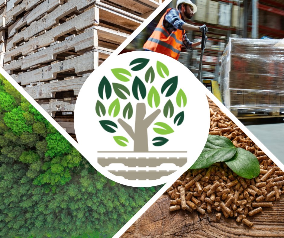 Go wooden pallets! DYK that they have a whopping 95% recycle rate - the highest of any packaging material? Let's keep up the great work and continue to prioritize sustainability in our supply chains. 🌍 bit.ly/3ogOipo #zerowaste #sustainability #EarthDay2023 <a href="/nwpca/">National Wooden Pallet & Container Association</a>