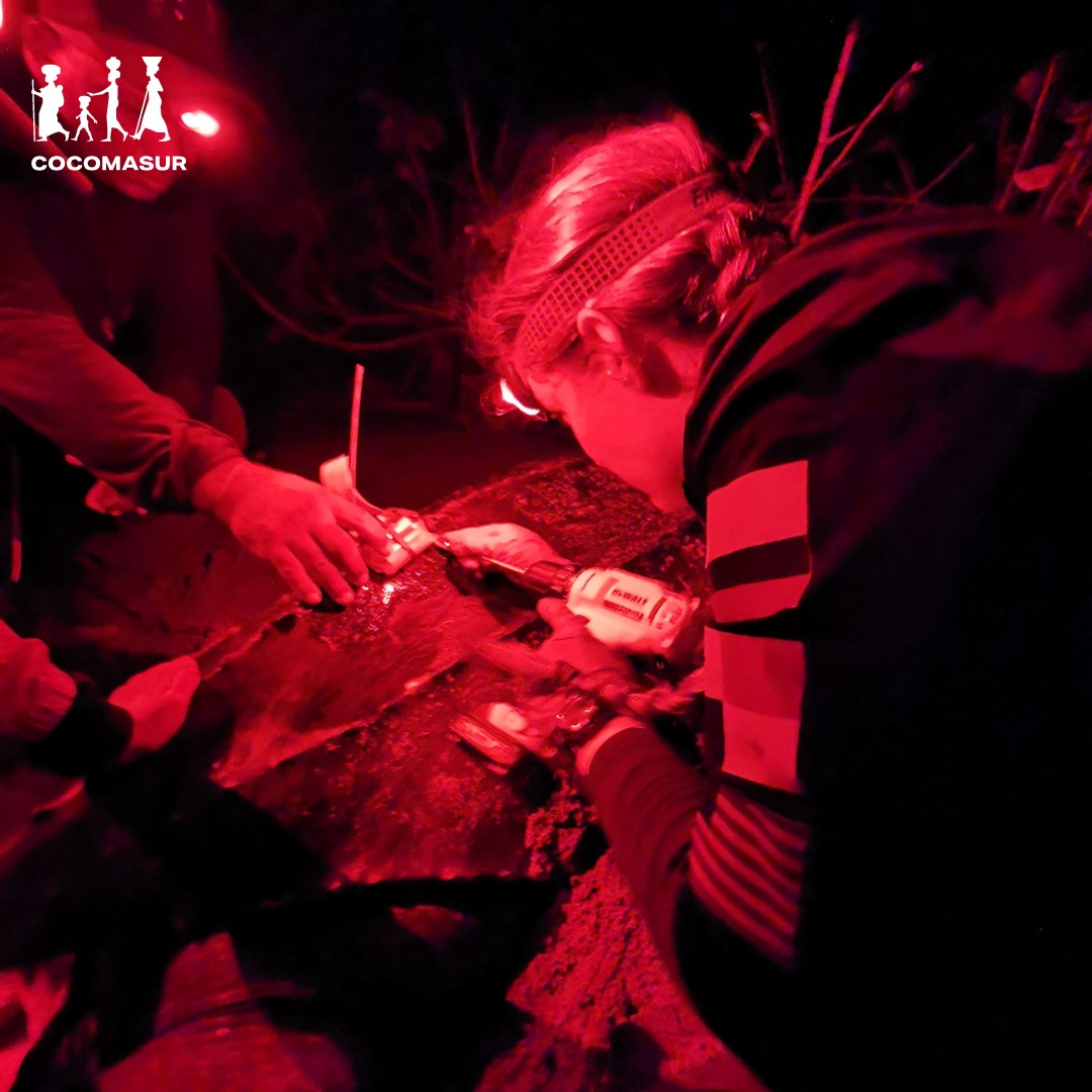 Cocomasur tweet media