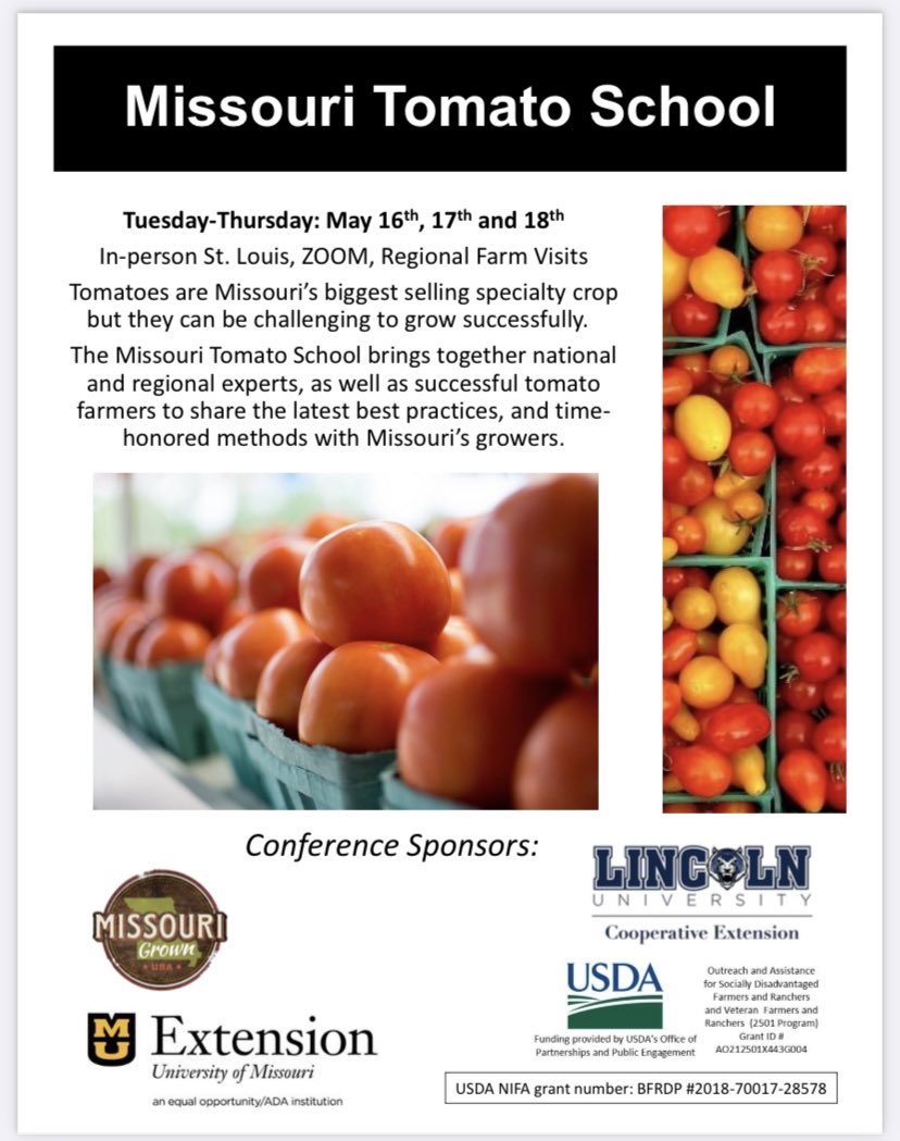 Missouri Tomato School just announced. In St Louis but available via Zoom. See link.  Both <a href="/rickofms/">Rick Snyder</a> and <a href="/tomatodoctor/">kyouy</a> will be featured guest speakers. 

custom.cvent.com/EDDEBD4E127642…