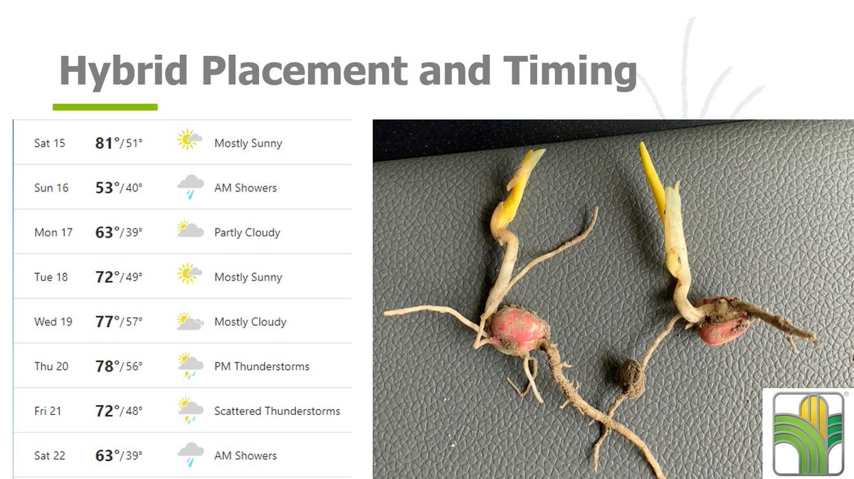 Check out the Southern IL Forecast - Significant drop in temp expected into Sunday as storms move through
In the first 24-48 hours after planting:
-Warm to Cold=Bad ☹️
-Cold to Warm=Good 🙂
Seed planted on Saturday will be subjected to stress that could lead to seedling death