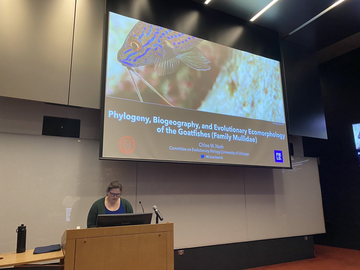 Goatfishes! Congratulations to Dr. Chloe Nash <a href="/ChloeLikesFish/">Chloe Nash, PhD</a> on her successful PhD dissertation defense today!  Totally #barbelious!