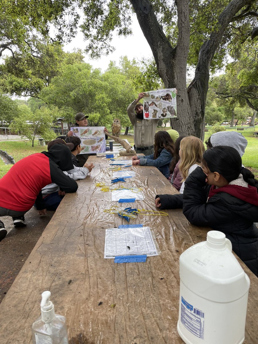 StephanieWilcoxHall tweet media