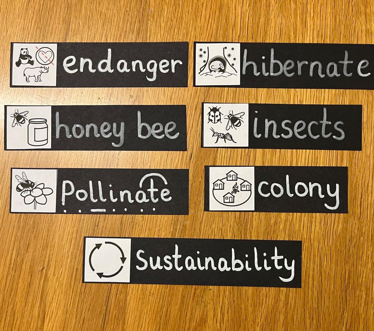 I know I’ve said it before but <a href="/Widgit_Software/">Widgit</a> is just the most amazing resource out there!  New vocabulary labels ready for next half term!!
