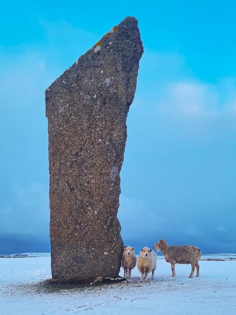 VisitScotland tweet media