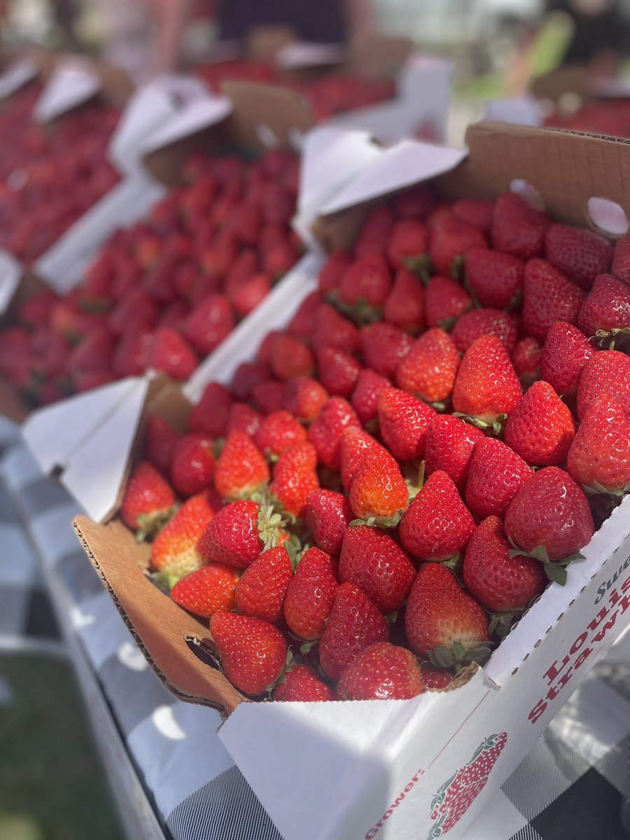 Beautiful day for the Strawberry Festival! 🍓