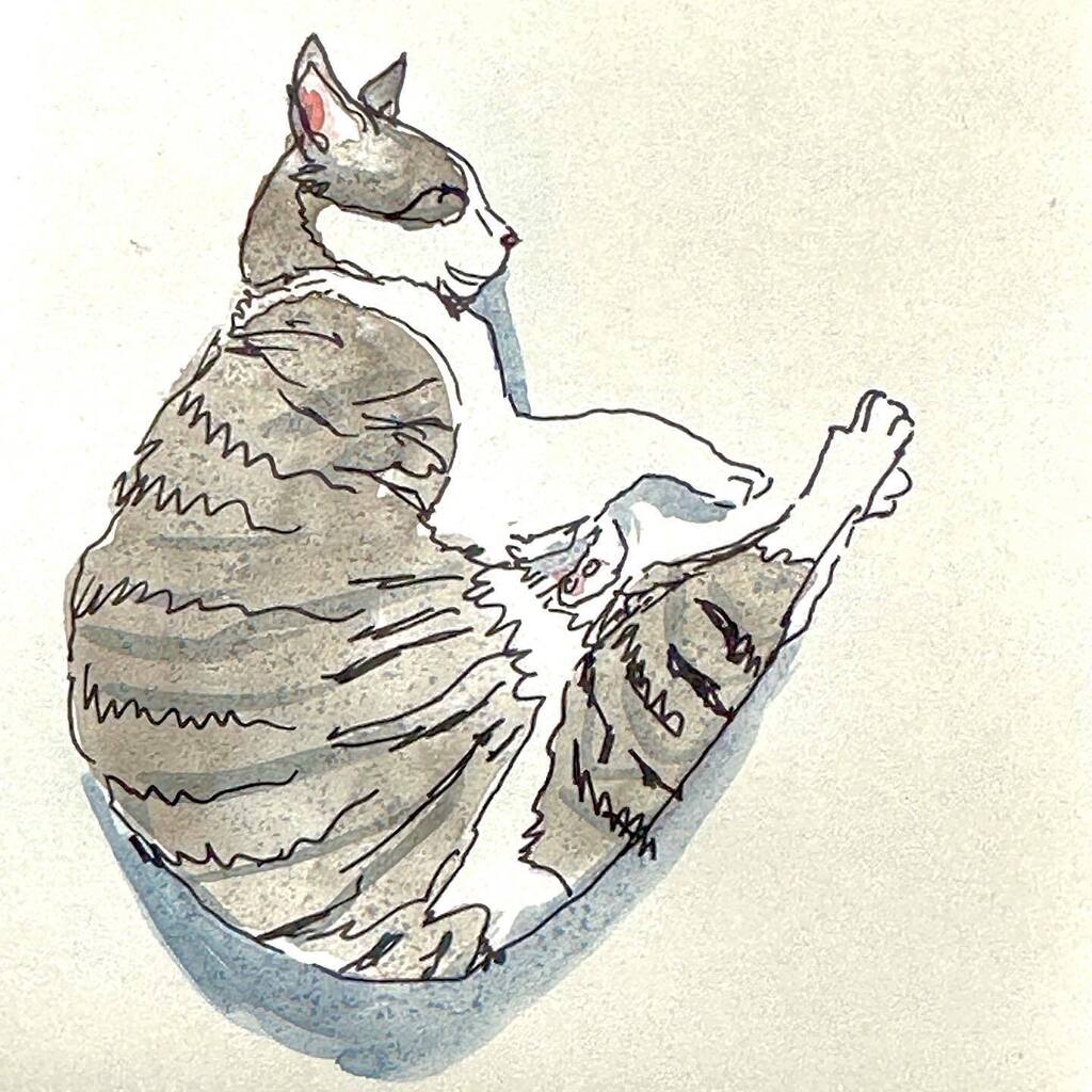 feelbettervin's tweet photo. @errol.meow chilling in the sun #ink #watercolors #moleskine https://t.co/FTjOqTPDR0 https://t.co/r1lQkRQVkM