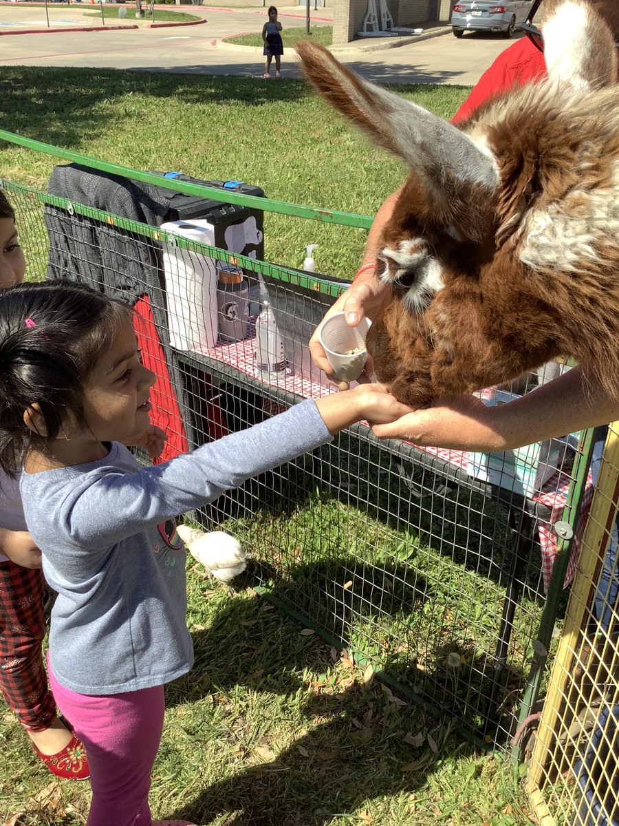 Mrs. Phillips tweet media