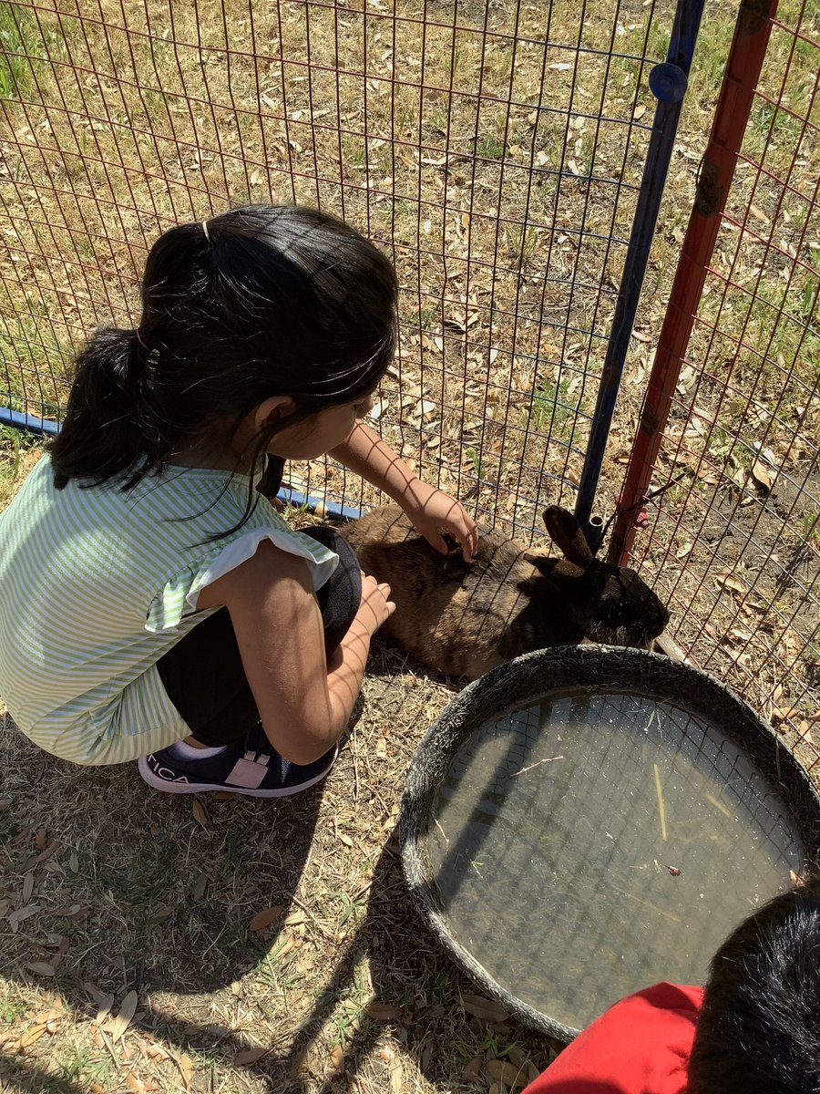 Mrs. Phillips tweet media