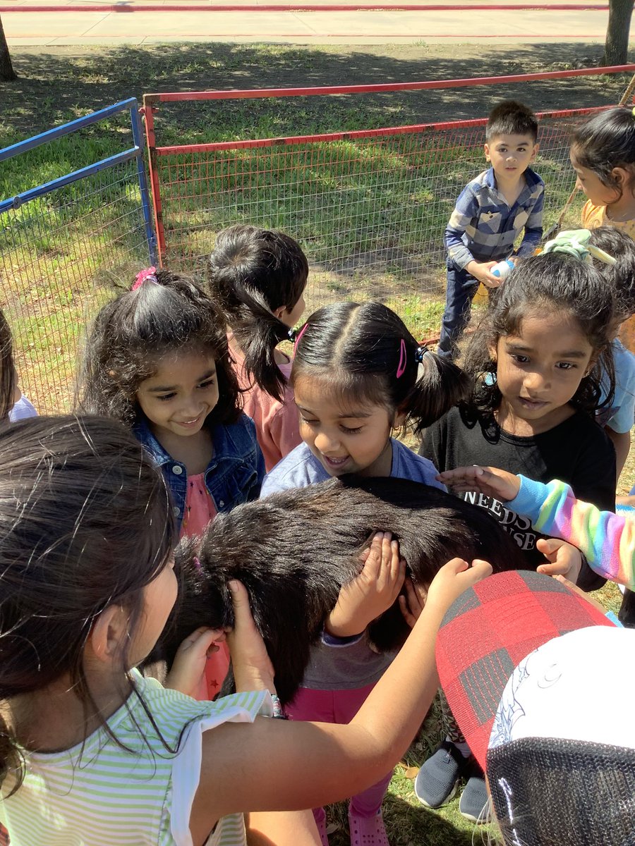 Mrs. Phillips tweet media