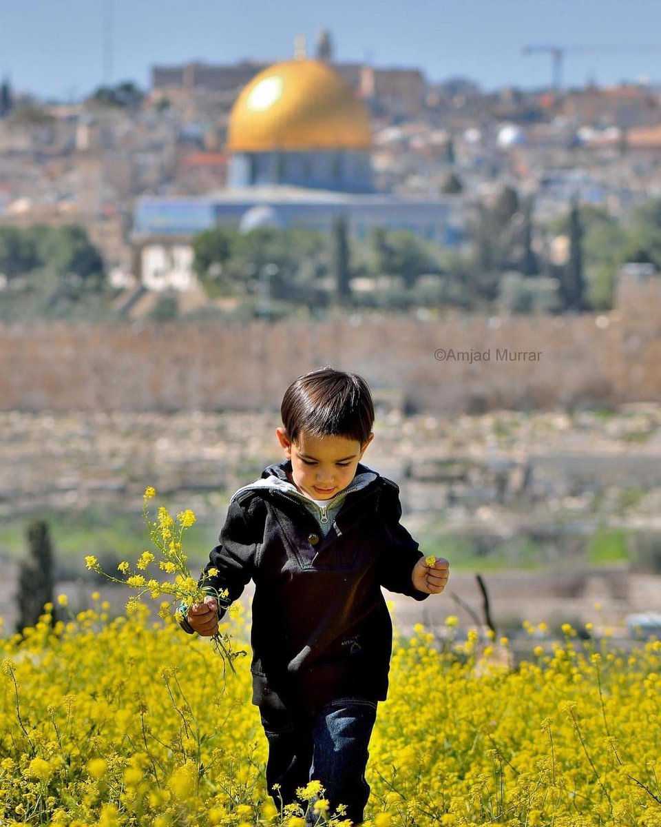 MuhammadSmiry's tweet photo. Palestine will be free https://t.co/LtyVFYRrL0