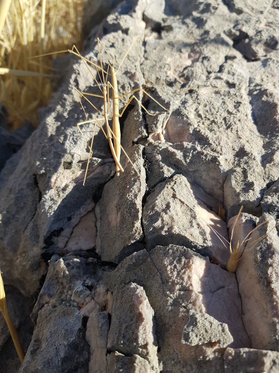 You can contact me for an insatiable relationship.