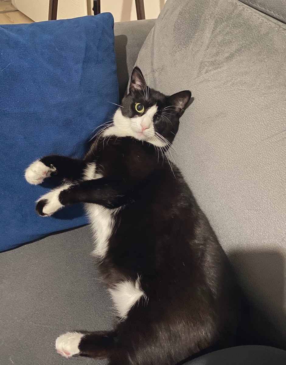 Ben gübekli değil kaslıyım diyet yapmayacağım kölem bayan hanfendisi