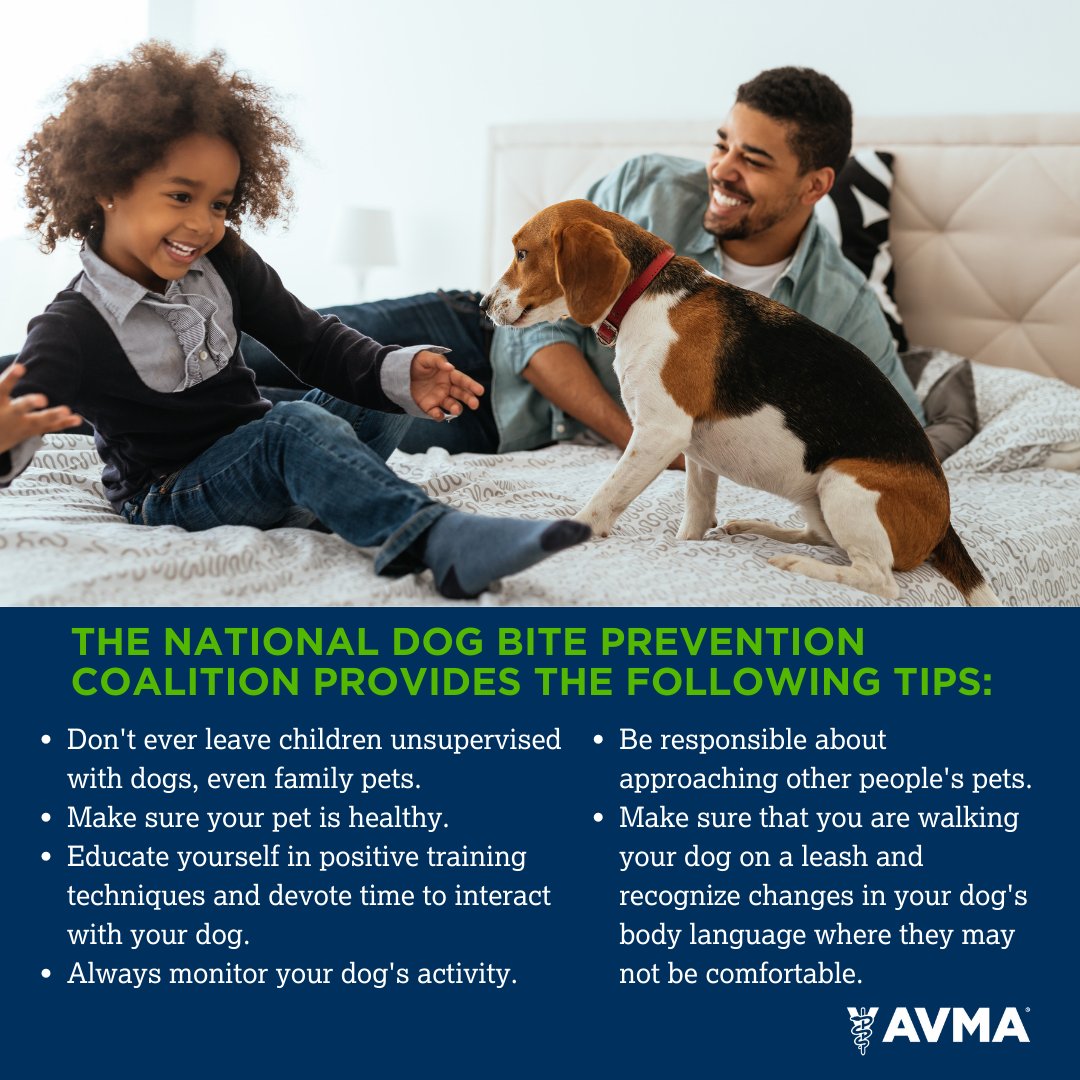 Dogs can bite for many reasons and any dog can bite. The National Dog Bite Prevention Coalition (AVMA, @StateFarm, @VictoriaS, @AmericanHumane, & @iiiorg) recommends the following tips. We can all #PreventDogBites by working together. Visit avma.org/DogBite to learn more!