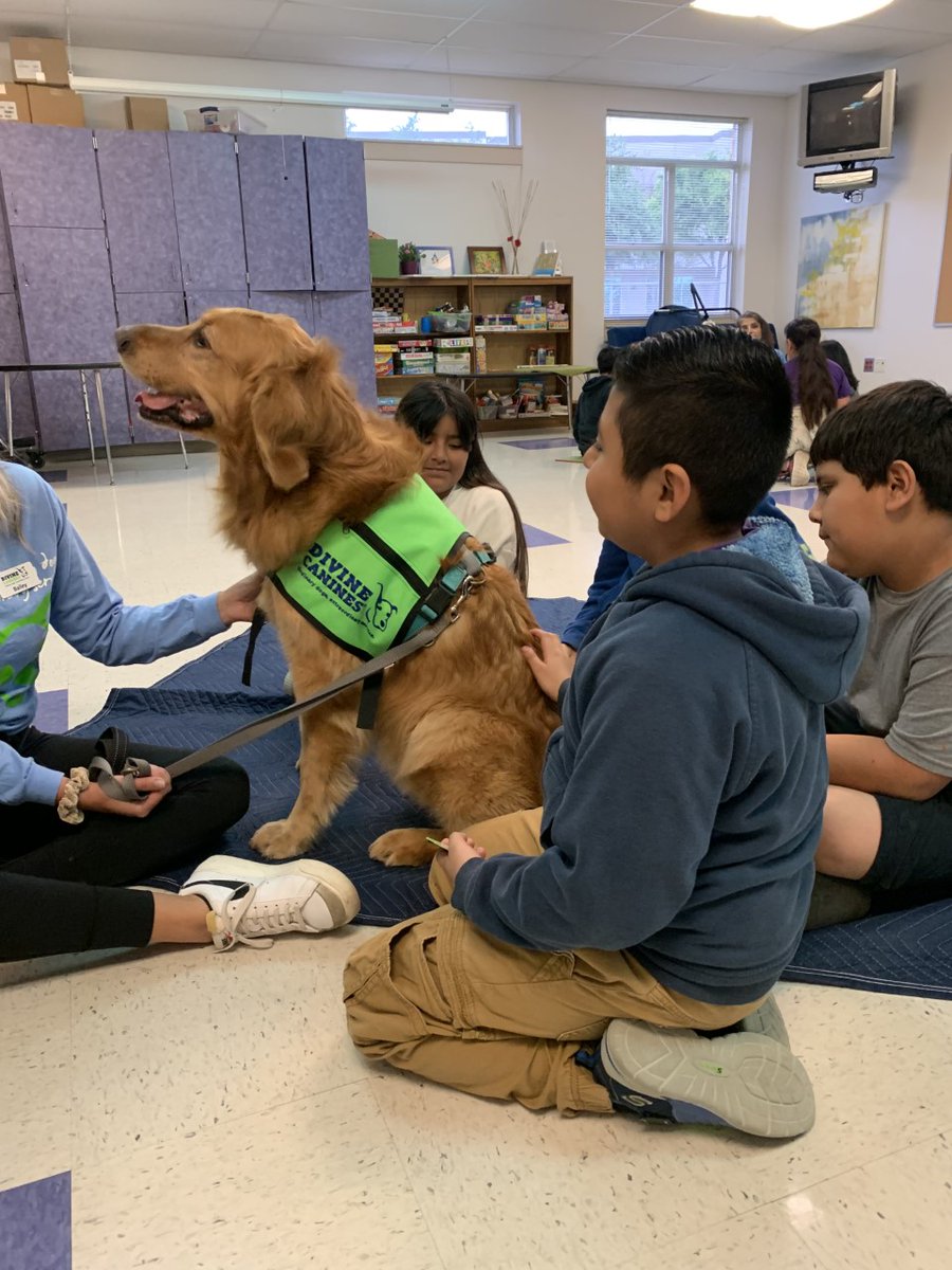 Rodriguez Elementary tweet media