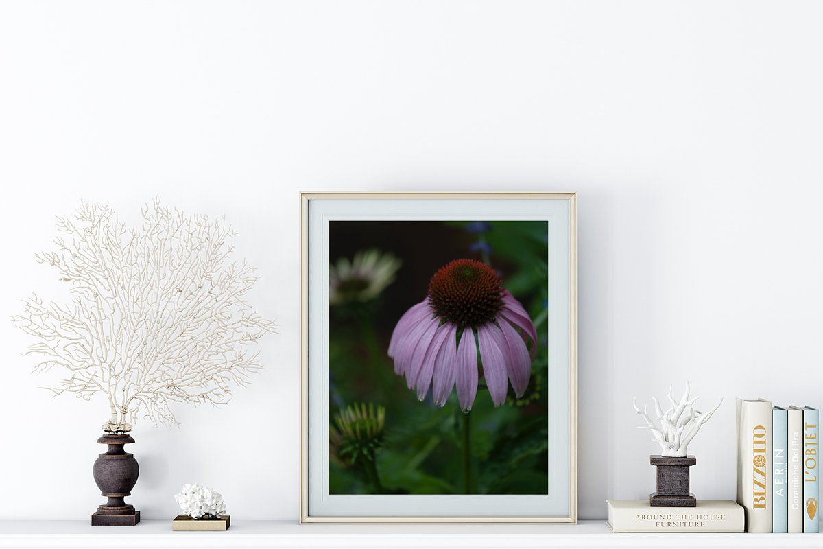 PixelandJoy's tweet photo. Just listed this gorgeous Purple Cone Flower print 🌺🌷 #photography #purpleconeflower #purpleflower #flowerphotography #flowerprint #printableflower #flowerwallart #photographylovers #flowerphotoprint #lilacflower #Homewallprint #etsy #etsyfinds #pixelandjoy https://t.co/hO1S6Bpucc