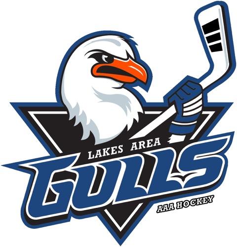LakesAreaGulls's tweet photo. Good luck to our 2012 Gulls as they take the ice in the North Dakota Spring AAA Championship in Fargo/Moorhead this weekend! GO GULLS! https://t.co/55hGA53xLH