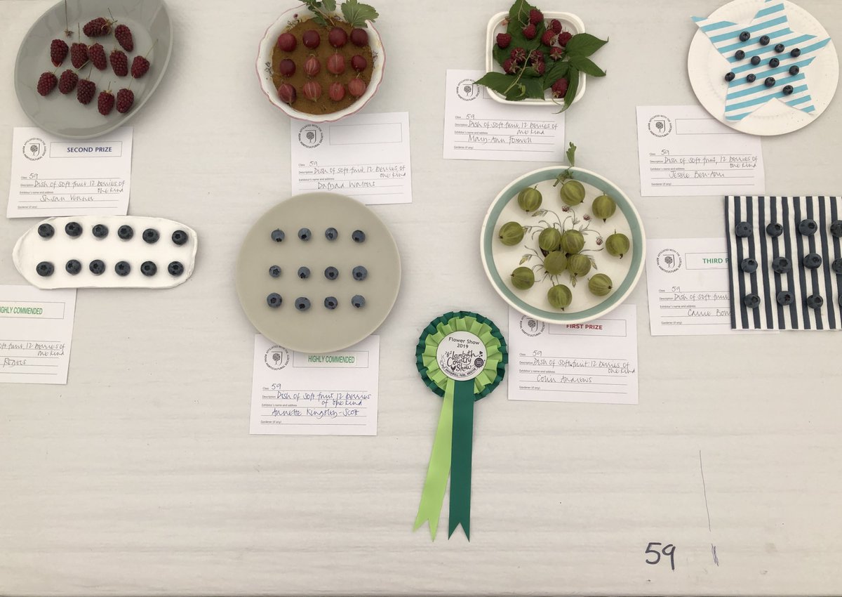 🌵 Cacti &amp; Succulents
🌳 Bonsai
🍆 Fruit &amp; Vegetables
💐 Floral Art

🗳️ We also have our public vote competitions:

🥦 Vegetable Sculptures
👩‍🌾 Scarecrows
🪴 Recycled Garden

🔗 lambethcountryshow.co.uk/getinvolved

#⃣ #LCS23 #BrockwellPark #LambethCountryShow #Lambeth #FlowerShow