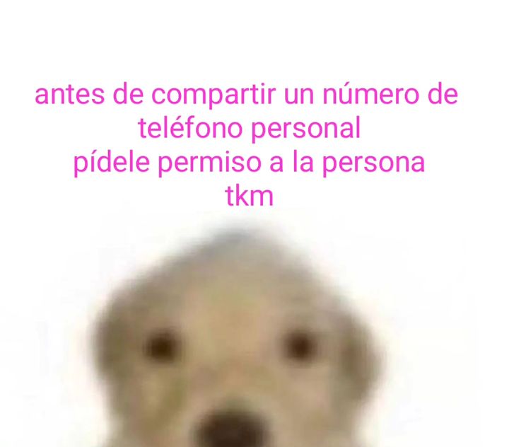 AmarantaOng's tweet photo. 🟣Hoy un mini tip básico de cuidados digitales. Recordar que el número de teléfono si es un dato sensible, no lo compartas a otro sin preguntar. Apostemos por prácticas comunitarias y seguras en conjunto 🤝

#tomaelcontrol #DigitalEsReal⚡️ #datos #instachile #instalike https://t.co/WHHp5yopFy