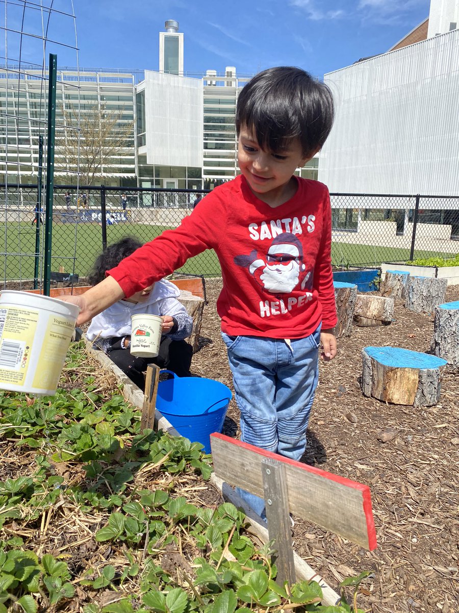 FoodPrintsDC's tweet image. ⛅️ 🌍Happy GardeningDay⛅️ 🌍 
☝️ Here's your reminder to water your garden
🌷From the FoodPrints student gardeners!
#FoodPrints #FRESHFARM #DCPS #WaterYourGarden
