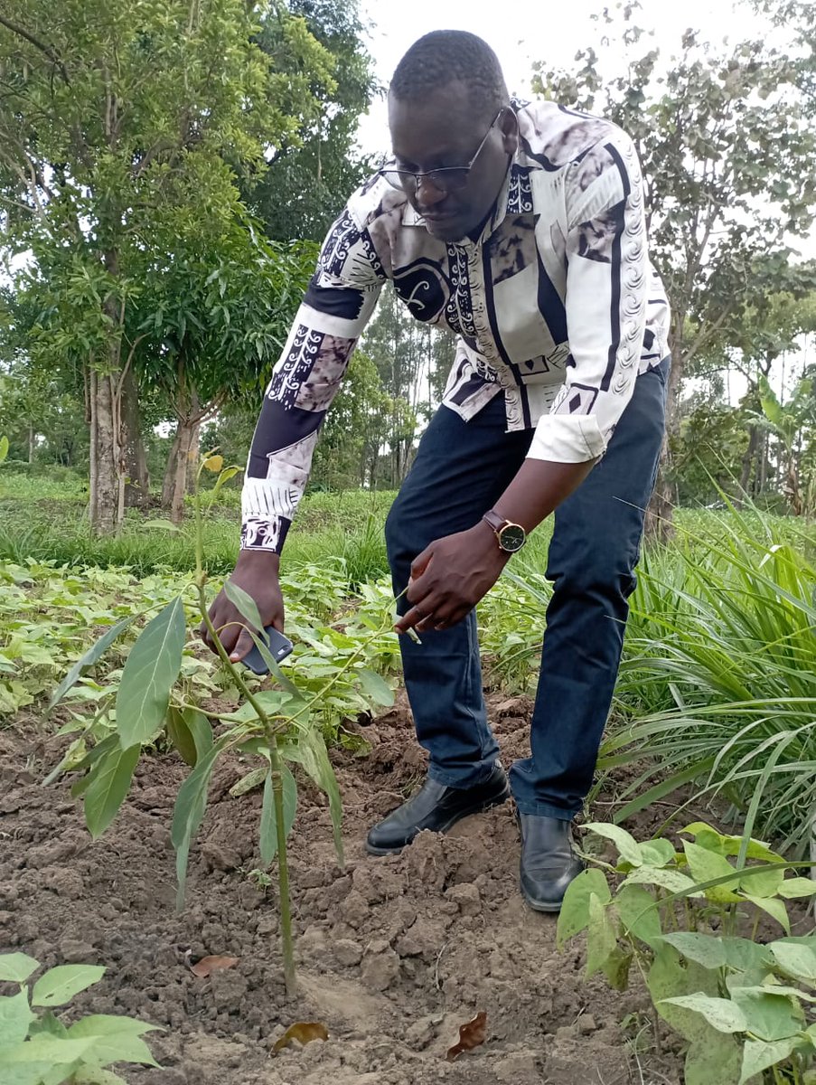 Kings Agricultural Services tweet media